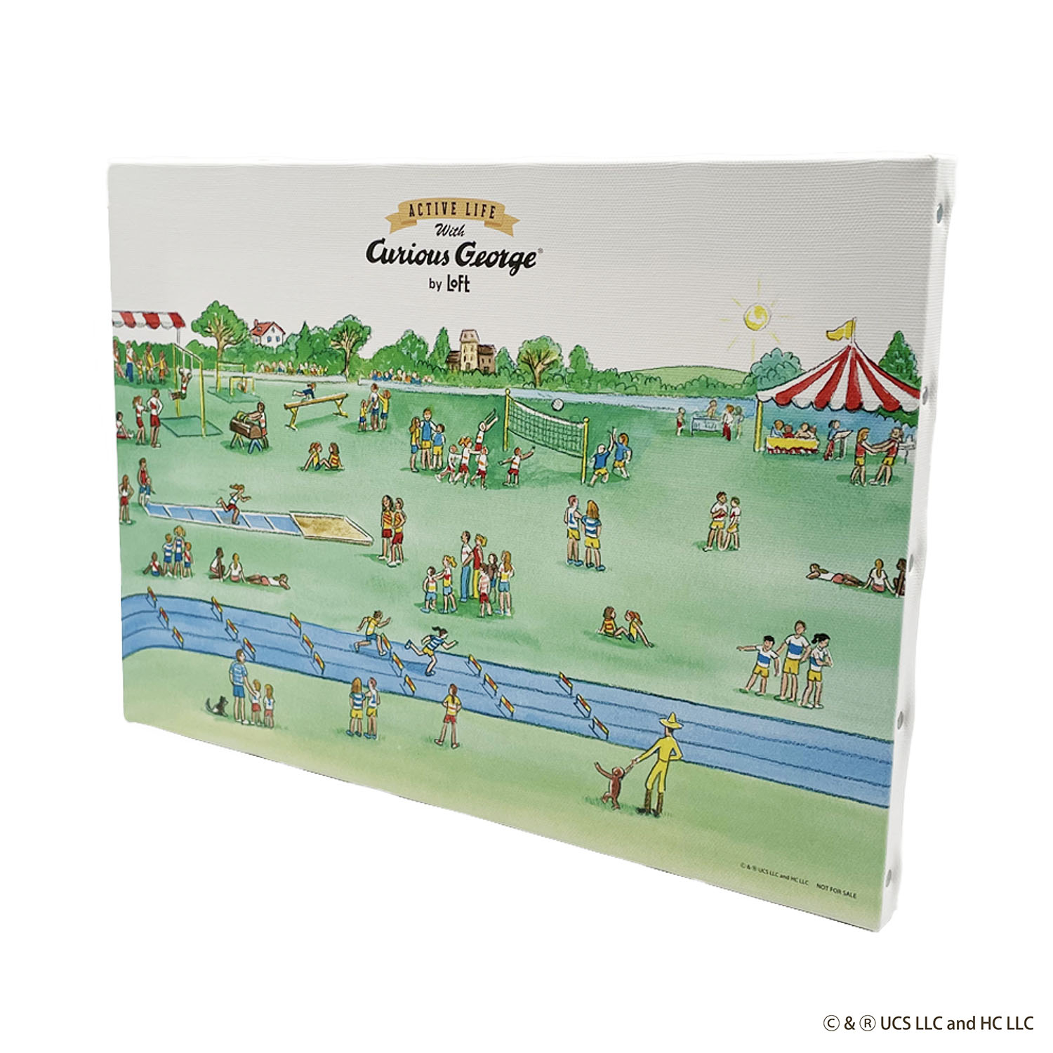 CG_novelty_wall+canvas_20240708_1500.jpg