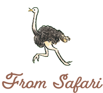 From Safari