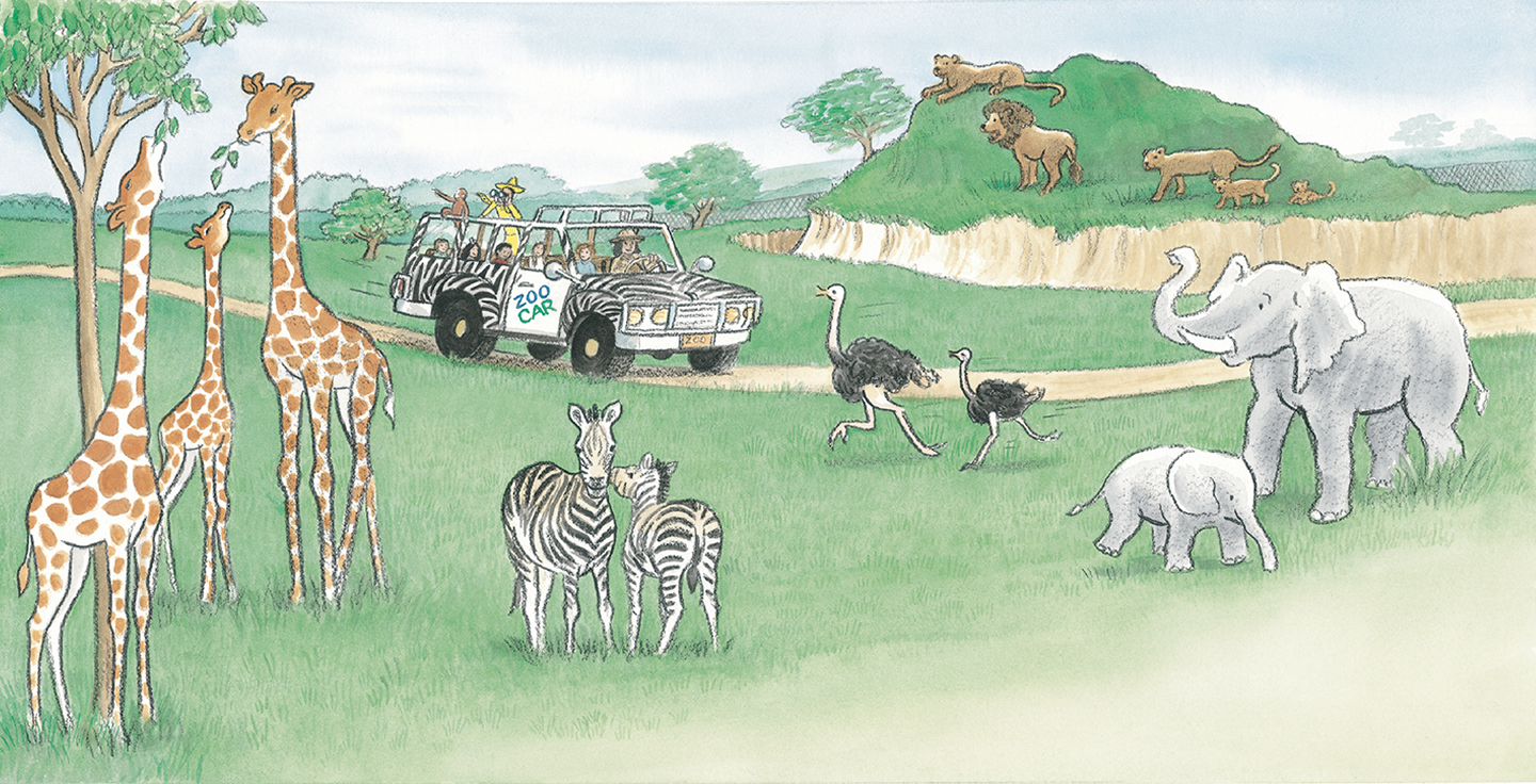 From Safariのイラスト