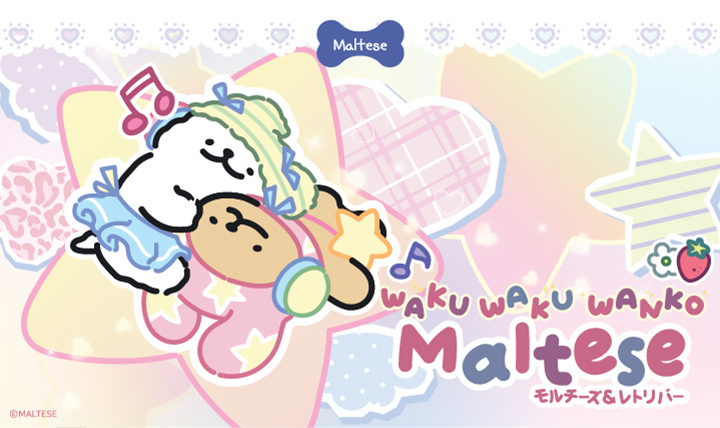 WAKUWAKU WANKO Maltese