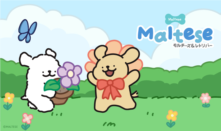 モルチーズについて