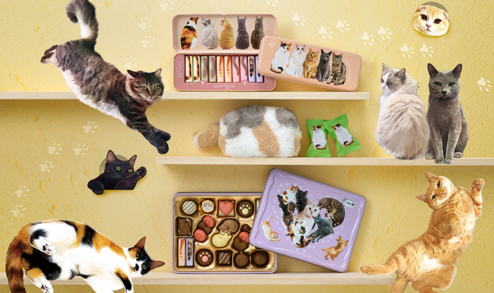 猫好きの心をくすぐる ねこみゃみれ