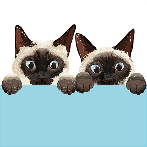 猫専門イラストレーター Coony(クーニー)