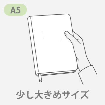 A5