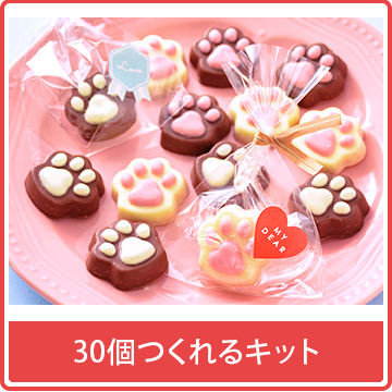 30個つくれるキット
