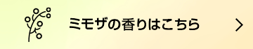 ミモザの香りはこちら