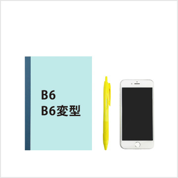 B6・B6変型
