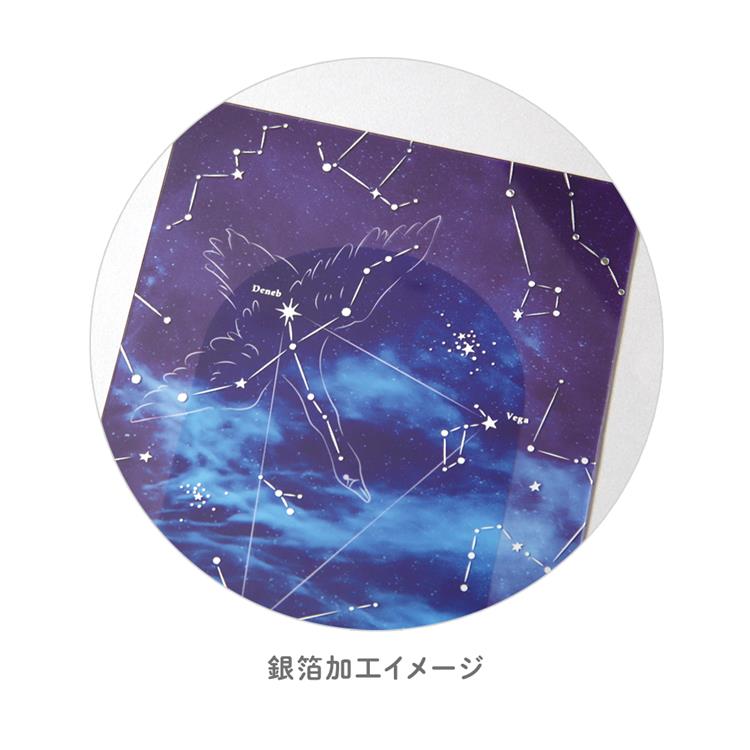 透明カード はくちょう座 はくちょう座