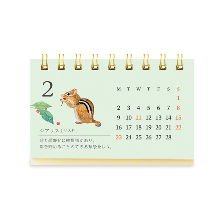 2026年1月始まりカレンダー 卓上 名刺サイズ 動物図鑑 動物図鑑