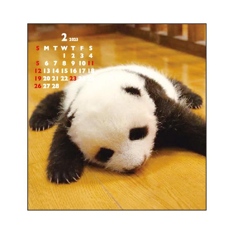 ２０２３年１月始まりカレンダー 卓上 ｆｄ ベビーパンダ ステーショナリー ロフト公式通販サイト Loft