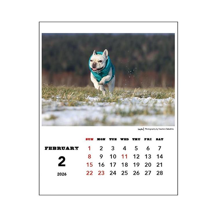 2026年1月始まりカレンダー 卓上 坂下康裕 夏彦ファミリー