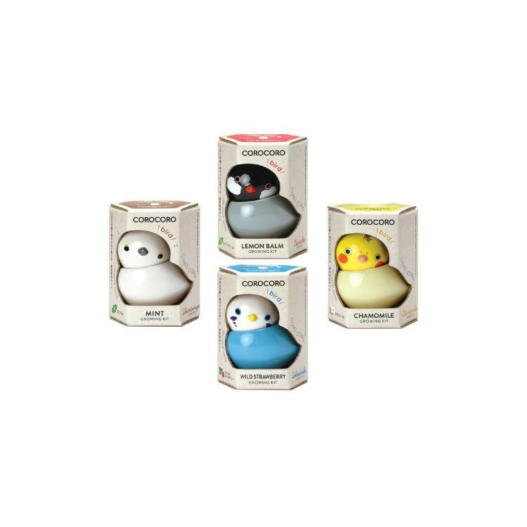 コロコロバード 文鳥 レモンバーム