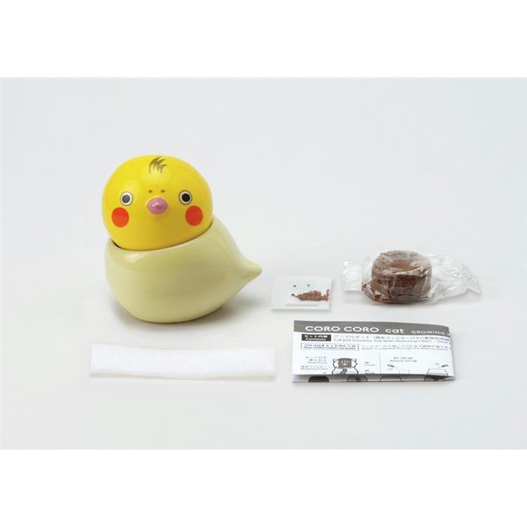 コロコロバード オカメインコ カモミール