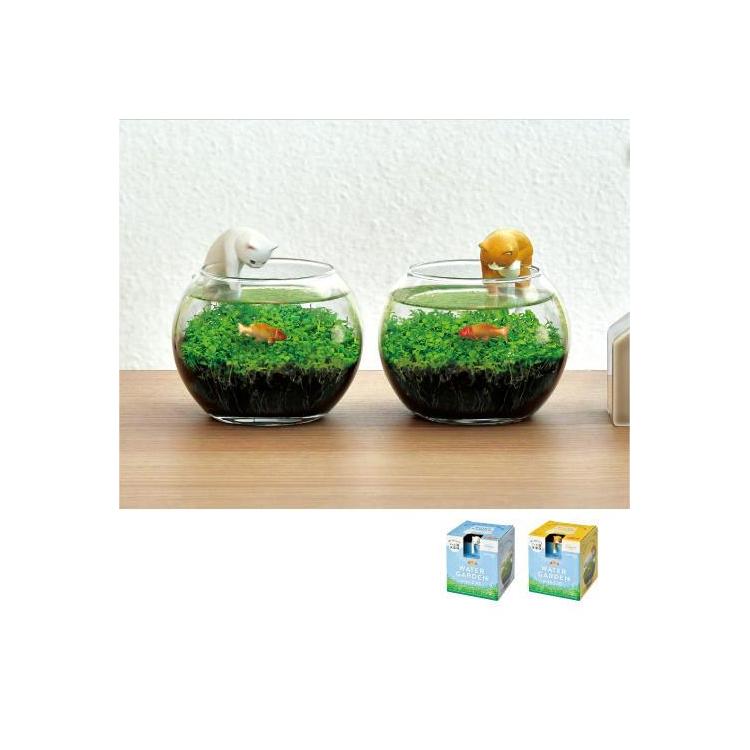 じゃれ猫水草鉢 茶ハチワレ