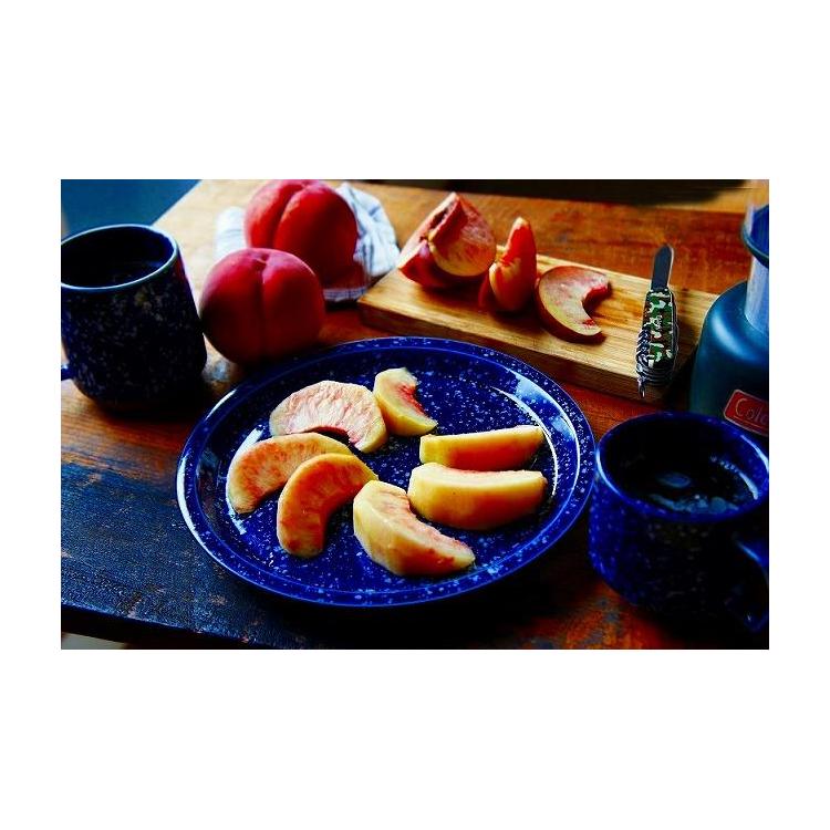 CHIPS マグ スプラッシュ ネイビーXホワイト ネイビーXホワイト