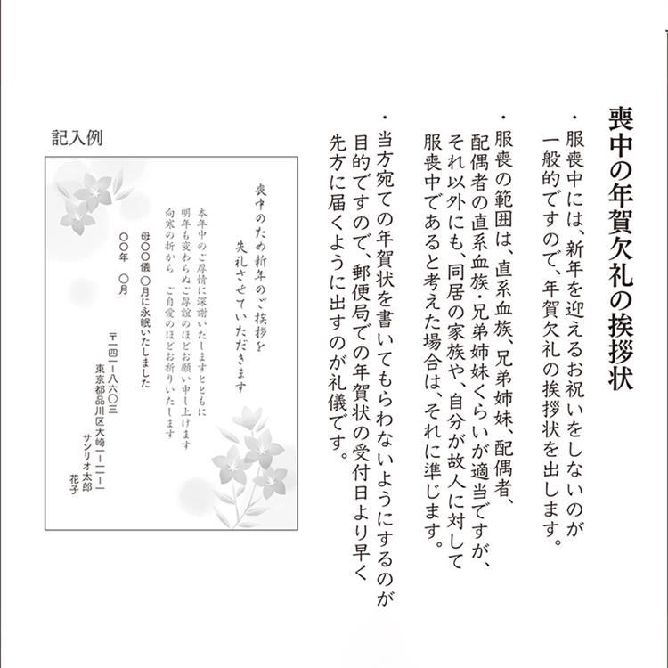 喪中はがき キキョウ 10枚入り キキョウ