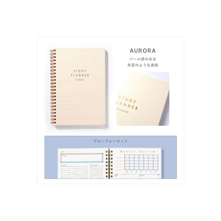 スタディプランナー リングノートタイプ A5変型 デイリー オーロラ