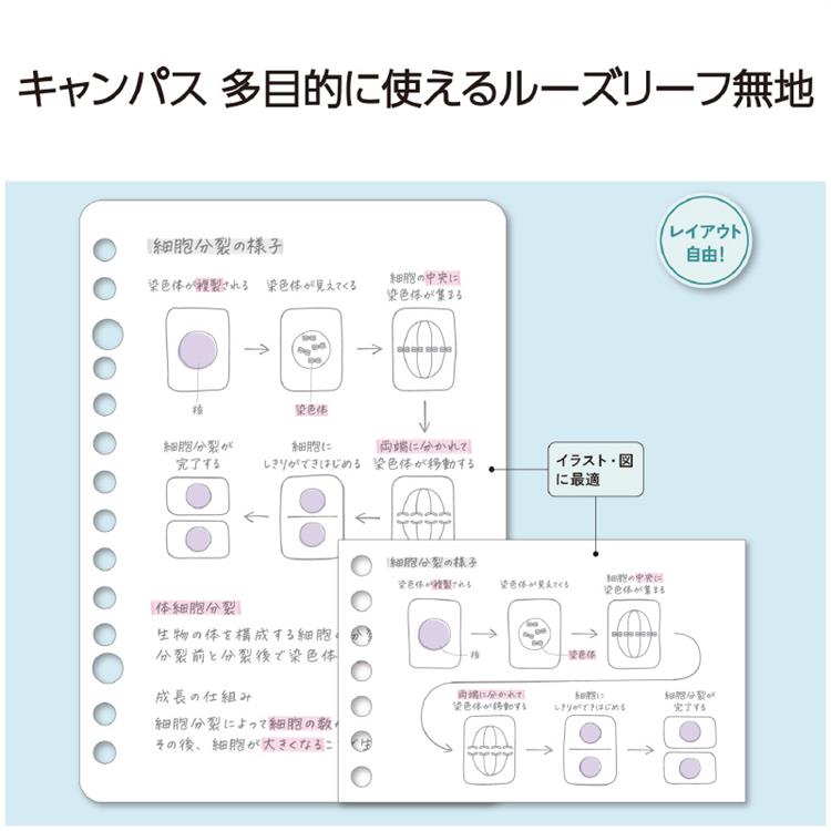 キャンパス ルーズリーフ 無地 A7 50枚