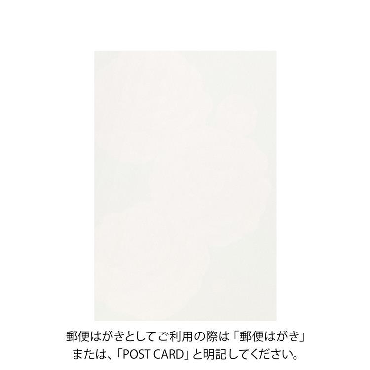 冬柄ポストカード 乙女椿柄 乙女椿柄