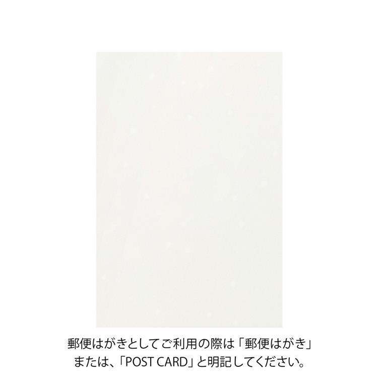 冬柄ポストカード 雪に赤い実柄 雪に赤い実柄