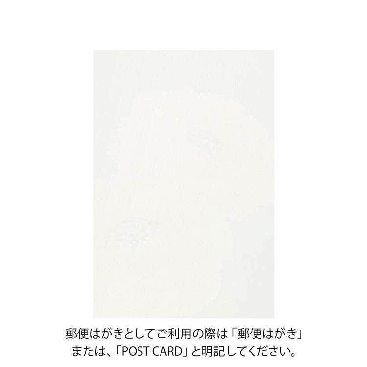 冬柄ポストカード 寒牡丹柄 寒牡丹柄