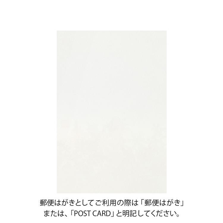 冬柄ポストカード 雪の結晶柄 雪の結晶柄