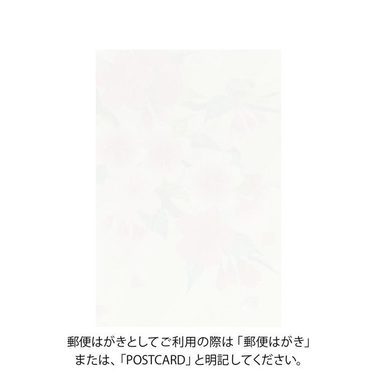 春柄 ポストカード 桜 桜