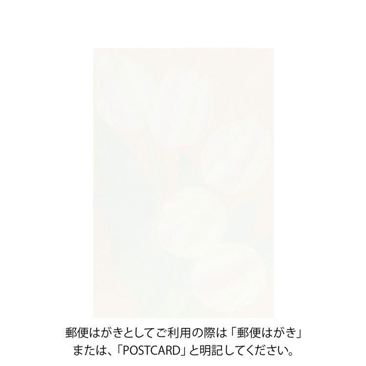 春柄 ポストカード チューリップ チューリップ