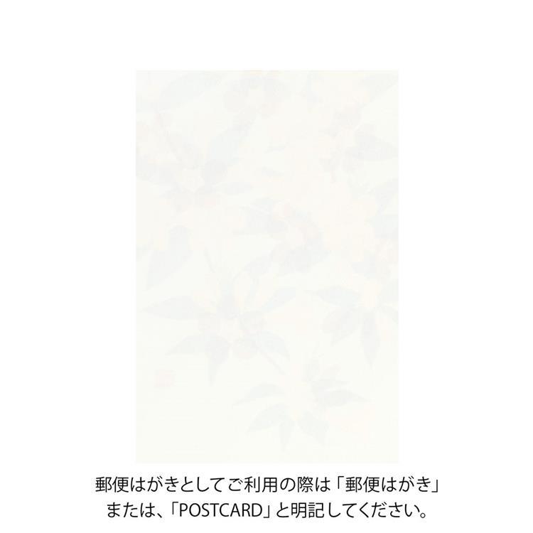 春柄 ポストカード ジャスミン ジャスミン