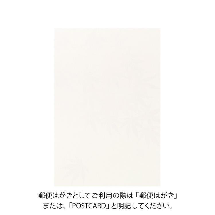 秋柄 ポストカード もみじ(もみじ): ステーショナリー | ロフトネット