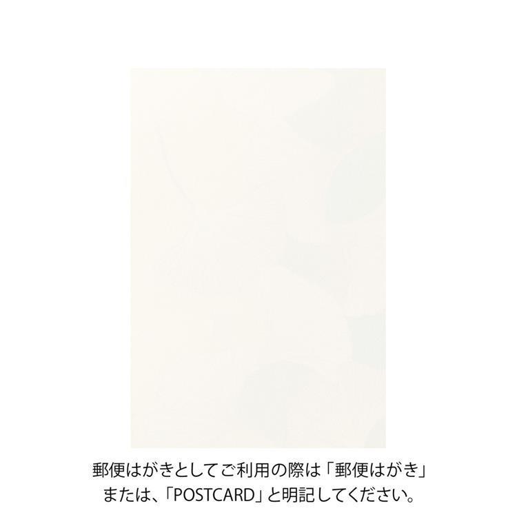 秋柄 ポストカード いちょう いちょう