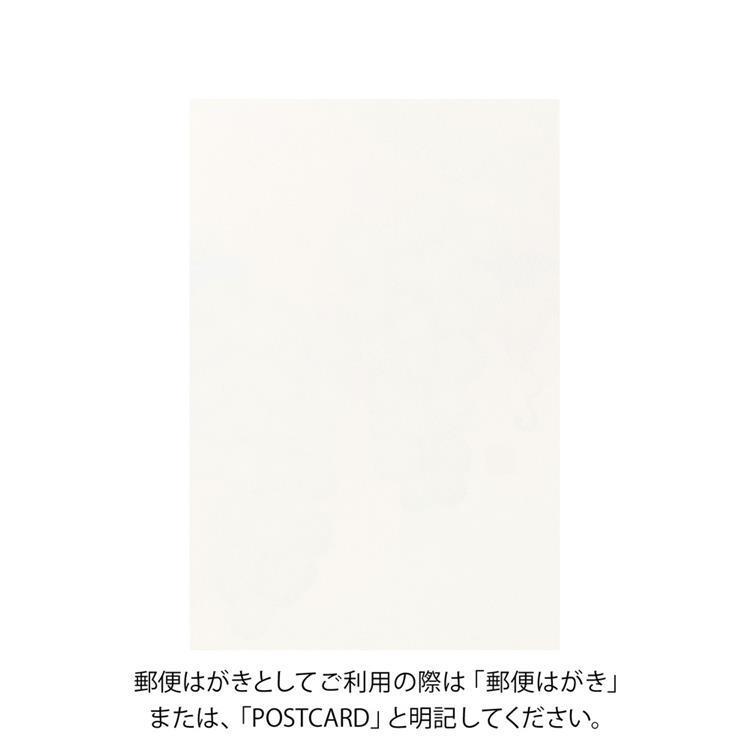 秋柄 ポストカード ぶどう ぶどう