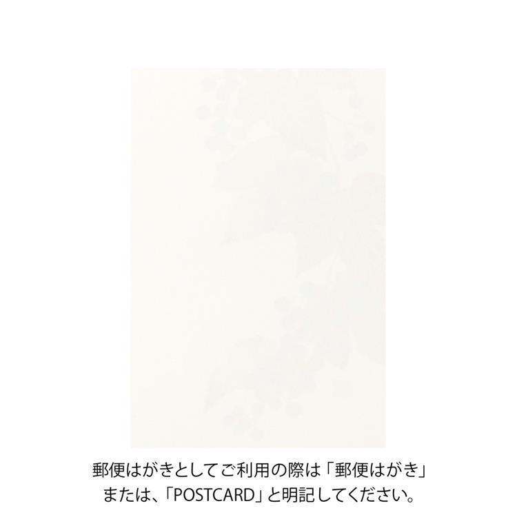 秋柄 ポストカード 野ぶどう 野ぶどう