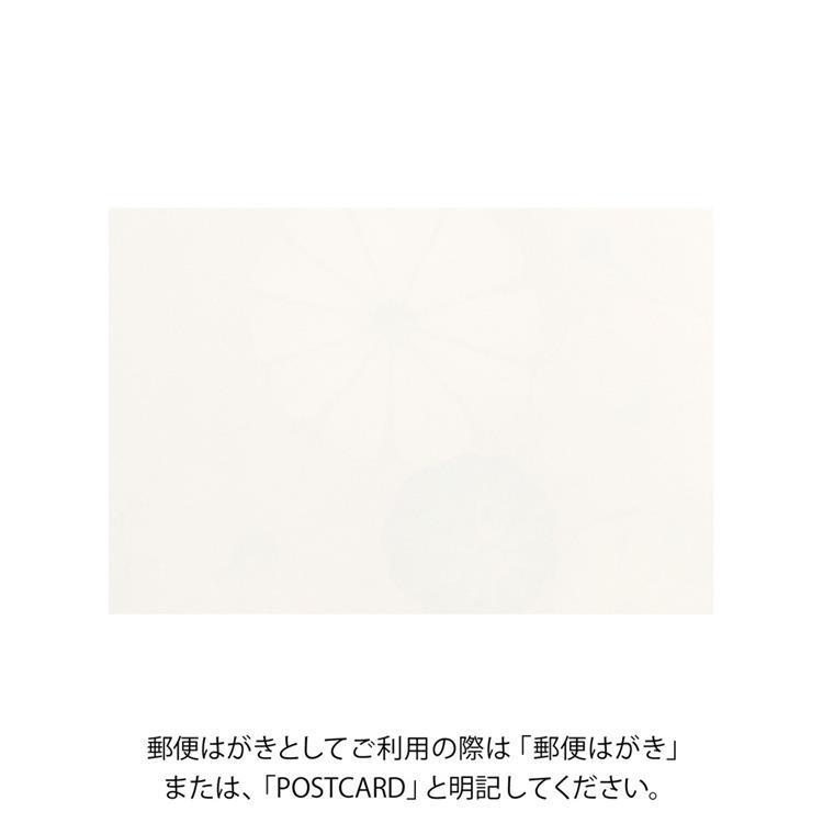 秋柄 ポストカード カボチャ カボチャ
