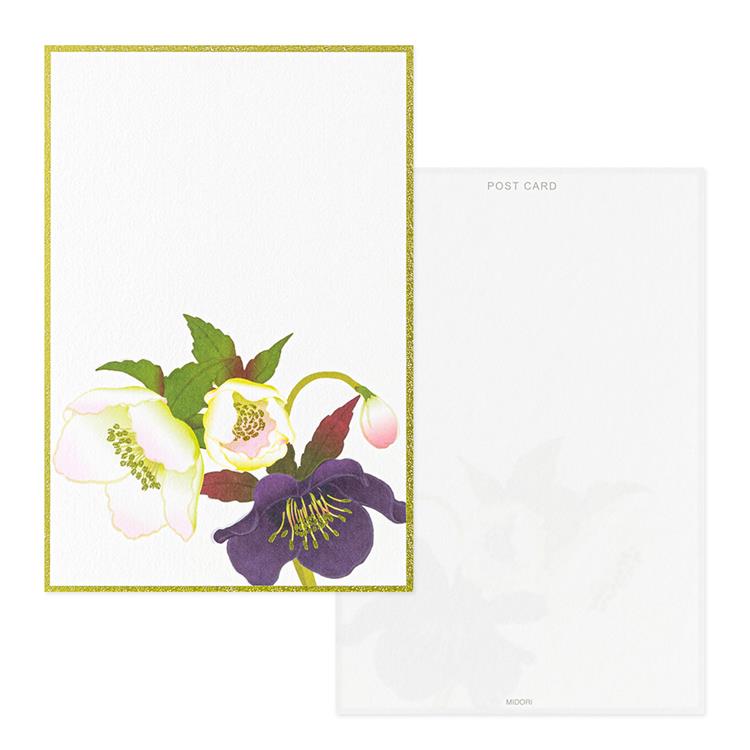 冬柄 はがき 箔 クリスマスローズ柄 クリスマスローズ柄