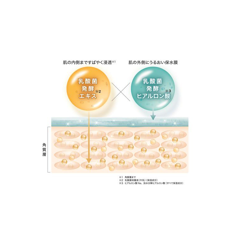 ラクティフル ラクティフル トライアルセット