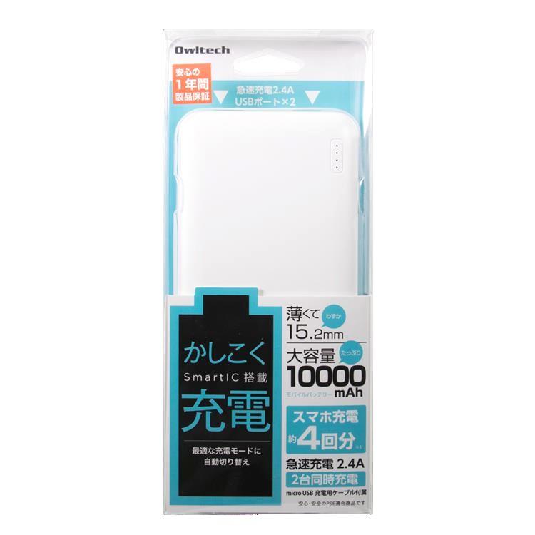 Interfit 携帯用 バッテリー タイプのストロボ 250W 美品