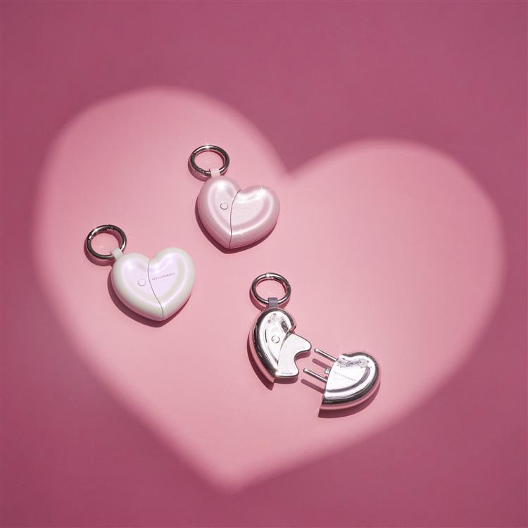 フェイスケア ハートチャーム メタリックシルバー AX-NB514sv メタリックシルバー