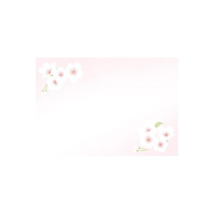 春柄 お手紙美人 さくら白 さくら白