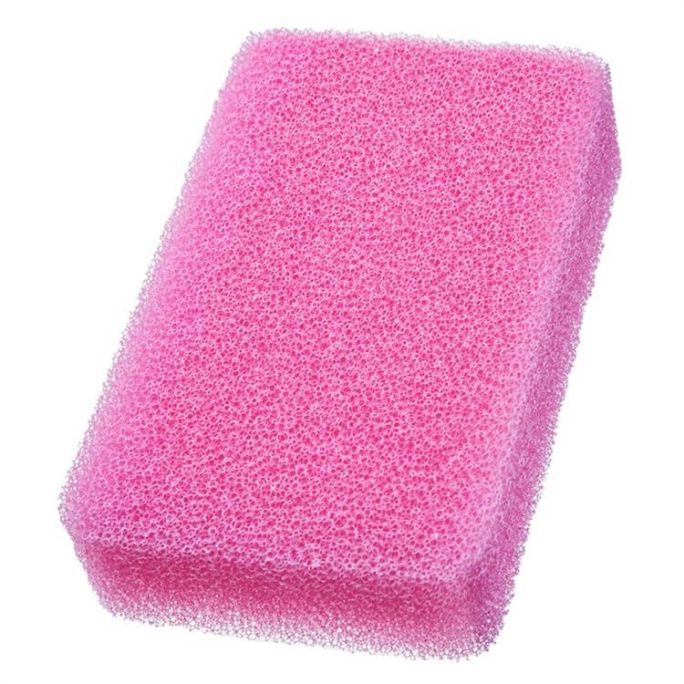 亀の子スポンジ ツバキ ツバキ