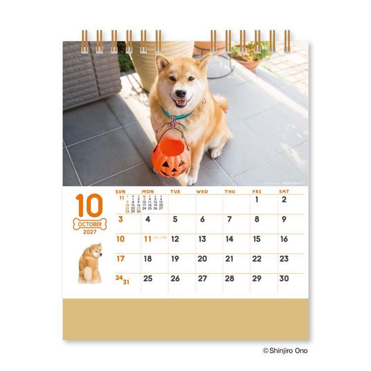 2027年1月始まりカレンダー 卓上 柴犬まるとおさんぽ