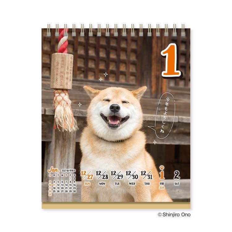2027年1月始まりカレンダー 卓上 柴犬まるのおしゃべり週めくり