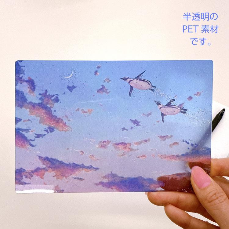 夏柄 クリアポストカード ながつかゆうか PP-92s 2人なら 2人なら