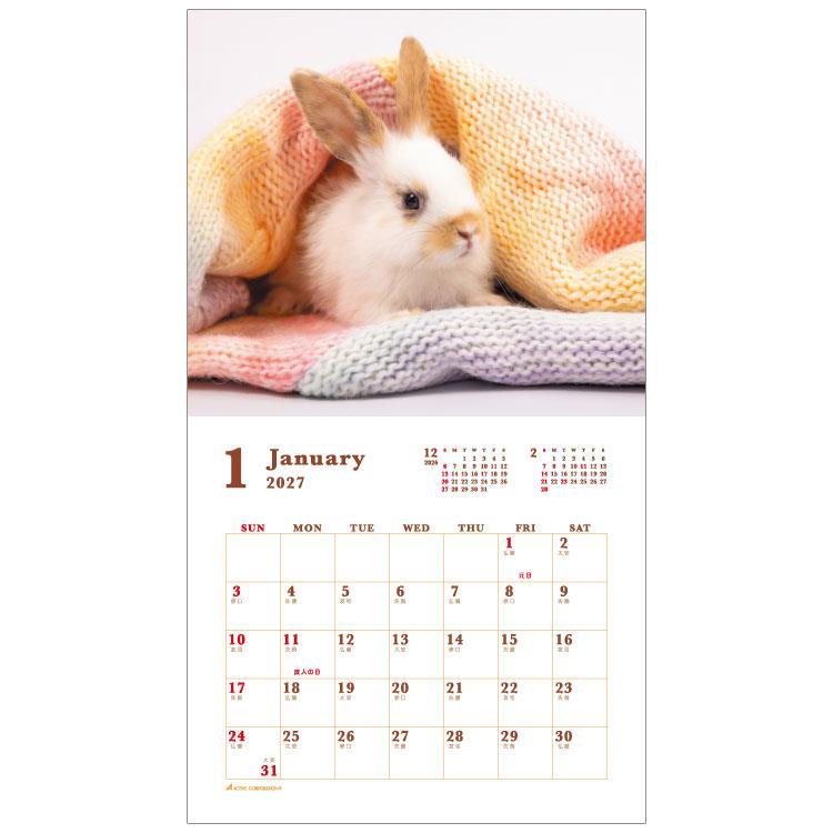 2027年1月始まりカレンダー 壁掛け スウィートラビット