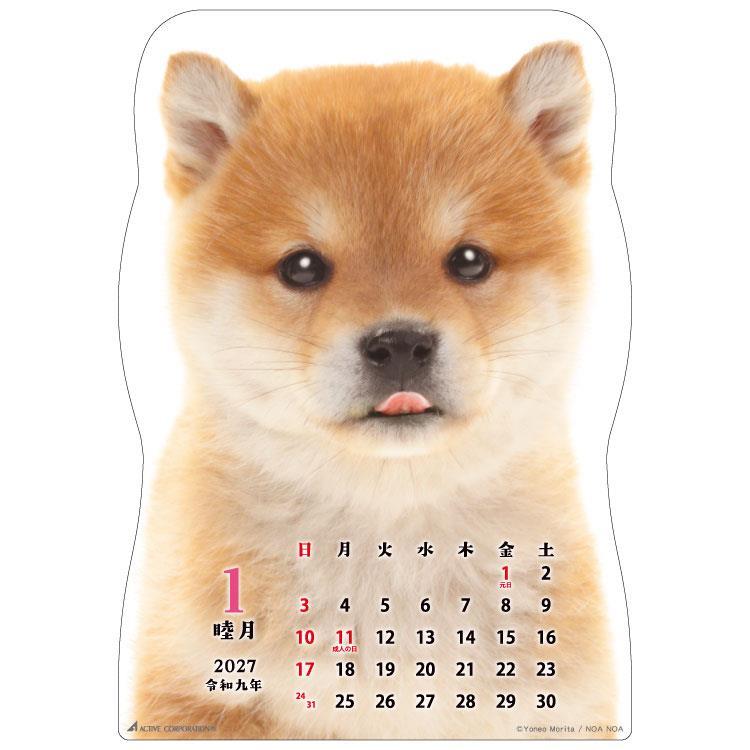 2027年1月始まりカレンダー 壁掛け 柴犬です
