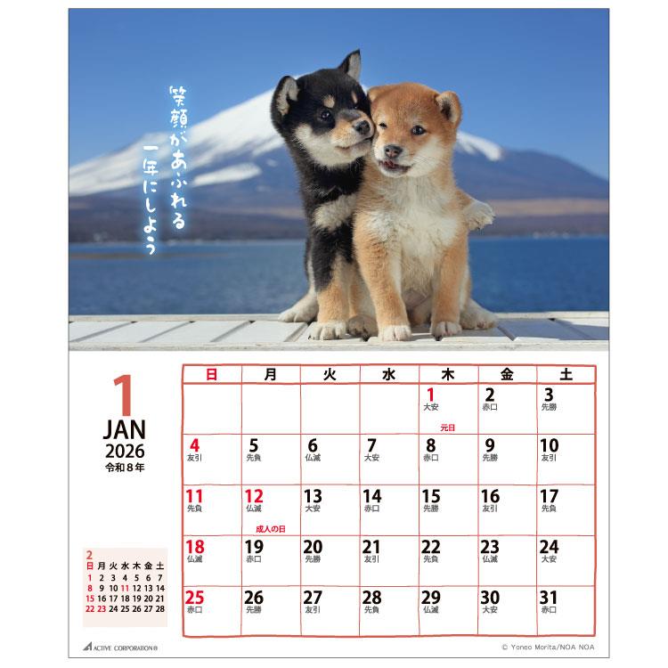 2026年1月始まりカレンダー 卓上 リトルドッグ ACL-536 リトルドッグ