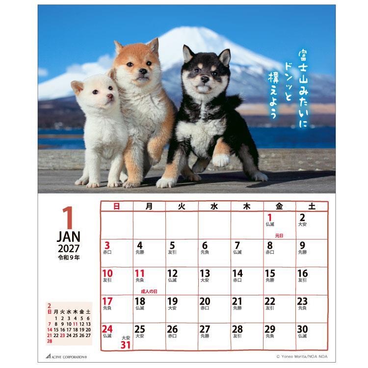 2027年1月始まりカレンダー 卓上 リトルドッグ