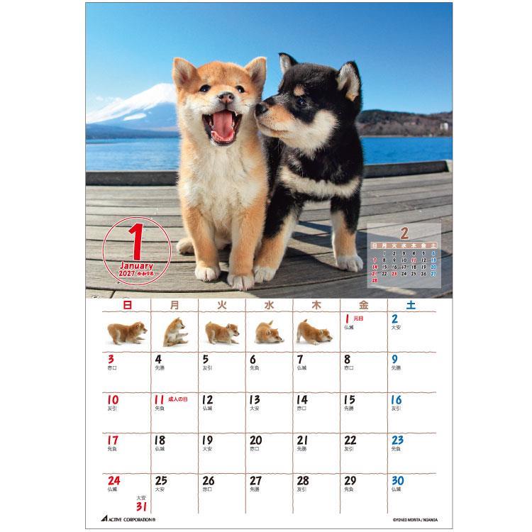 2027年1月始まりカレンダー 卓上 森田まるごと柴犬