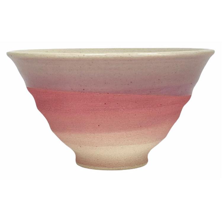 AIMUSUBI 飯碗セット スプレイ 2個入 飯碗セット スプレイ