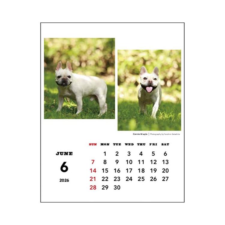 2026年1月始まりカレンダー 卓上 坂下康裕 夏彦ファミリー